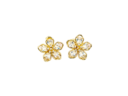 PENDIENTES EDEN